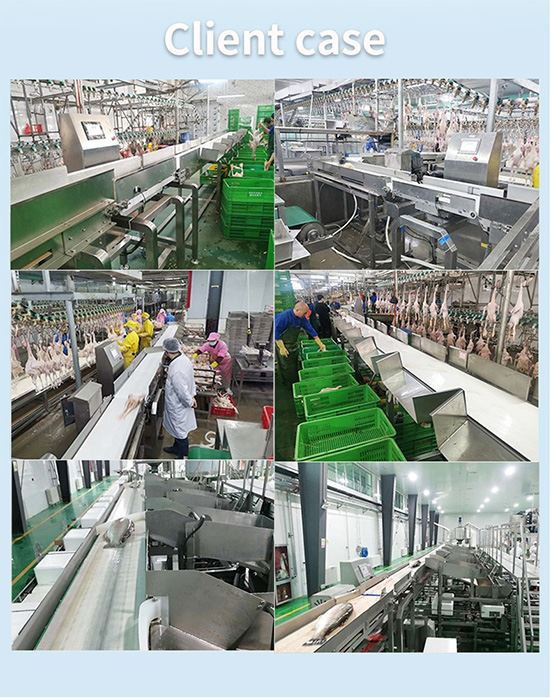 multi level sorting machine