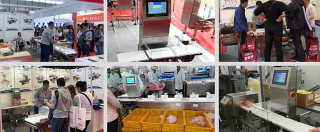 weight multi sorter machine