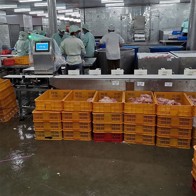 multi level checkweigher